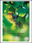 Fruit of the Spirit Cover